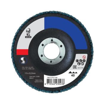 Schleifscheibe Fächerscheibe Sandpapier P60 115x22,2 mm